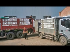 Klorlu Polietilen CPE 135A PVC Çap Değiştiricisi PVC Boruları için Beyaz Toz